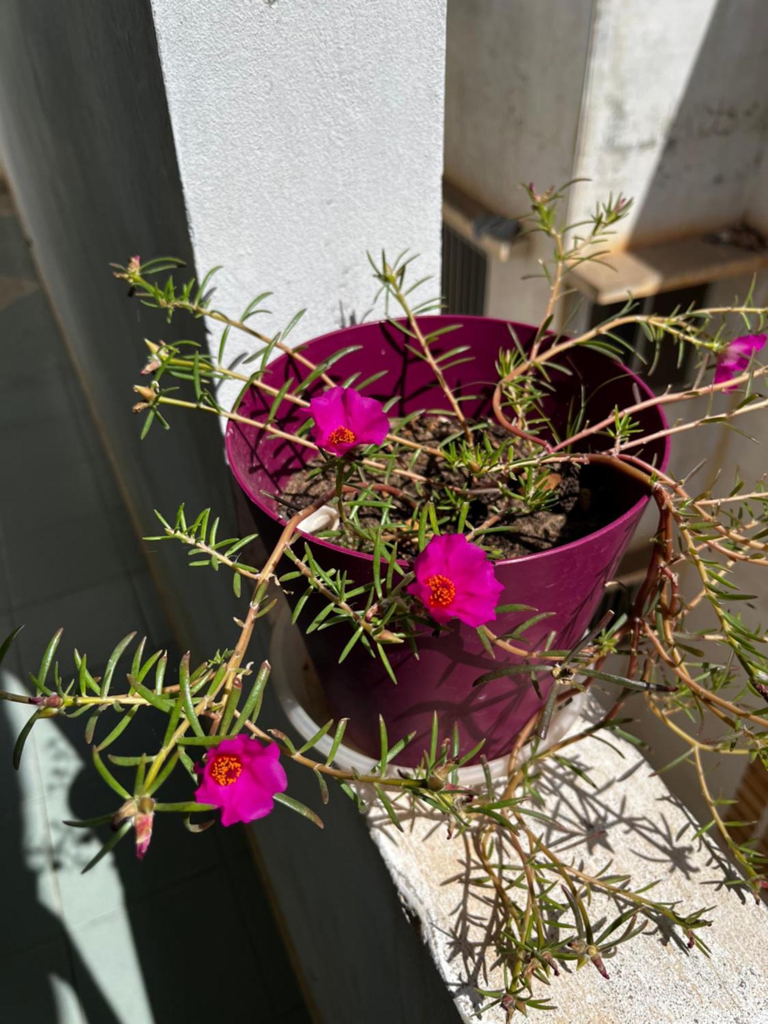 דקר Like At Home מראה חיצוני תמונה
