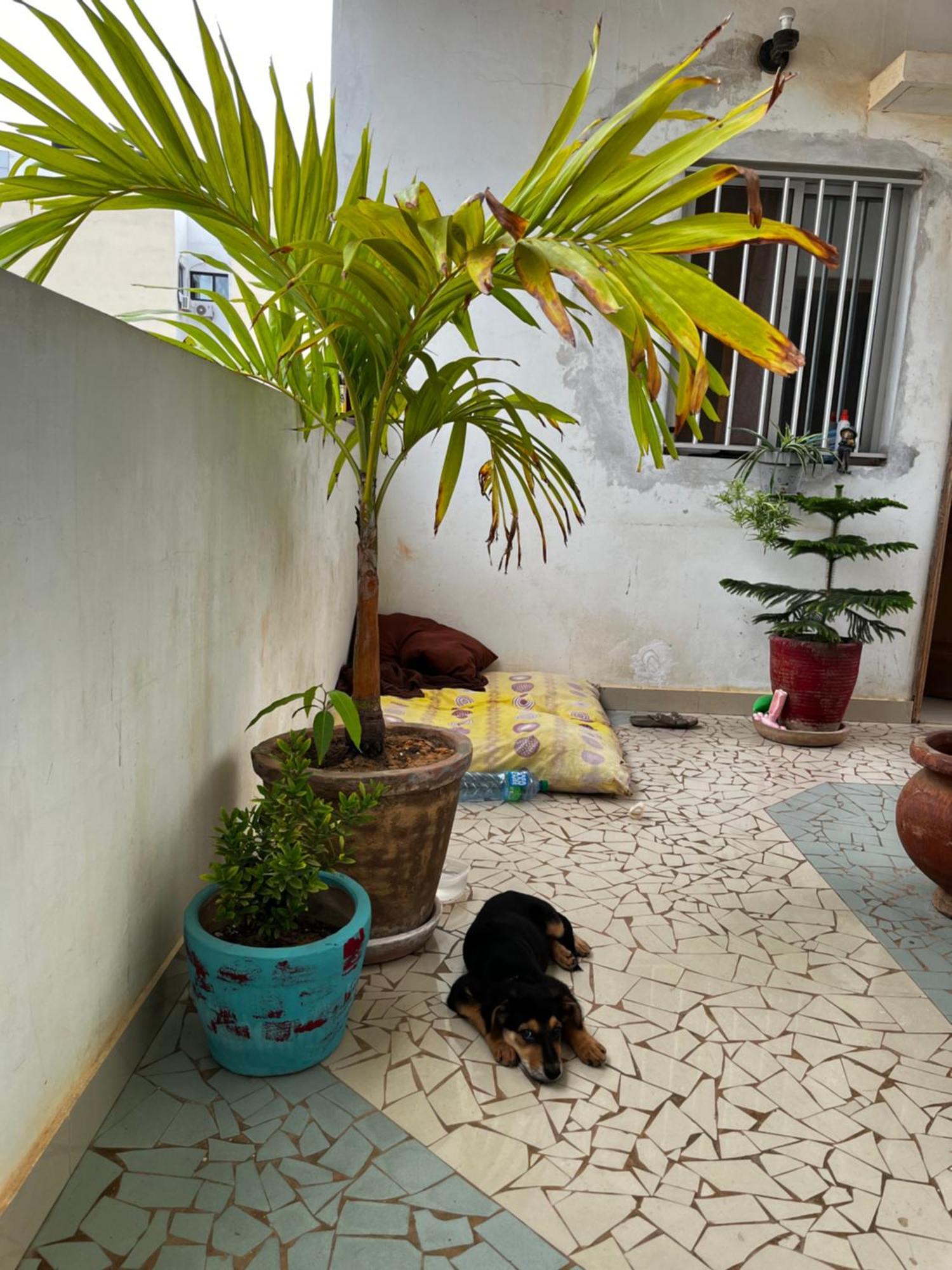 דקר Like At Home מראה חיצוני תמונה