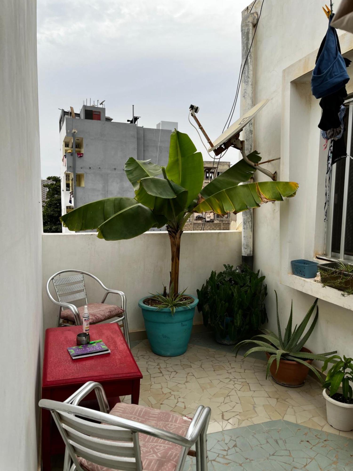 דקר Like At Home מראה חיצוני תמונה